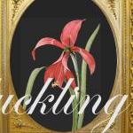 Digital Collage Sheet - Cli..