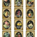 Digital Collage Sheet - Cli..