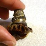Caramel Brown Bell Flower B..