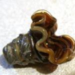 Caramel Brown Bell Flower B..
