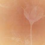 Floral Embrace 2x3inch Digi..
