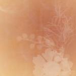 Floral Embrace 2x3inch Digi..