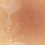 Floral Embrace 2x3inch Digi..