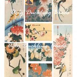 Digital Images Collage Sheet - Clip Art Elements- Digital Scrapbooking- "Perched Birds"